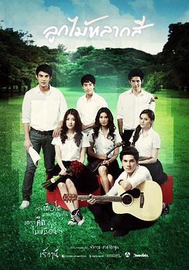 缤纷之实 ลูกไม้หลากสี (2013)海报