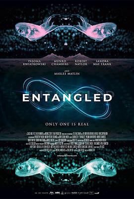 Entangled (2019)海报