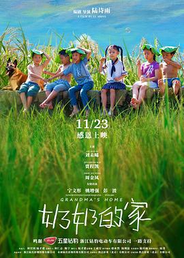 奶奶的家 (2018)海报