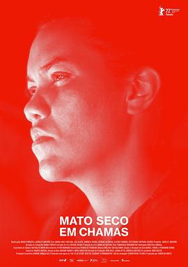 燃烧的干灌木 Mato seco em chamas (2022)海报