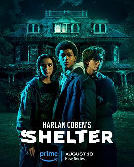 哈兰·科本的庇护所 Harlan Coben's Shelter (2023)海报
