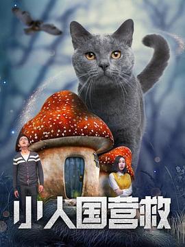 小人国营救 (2019)海报