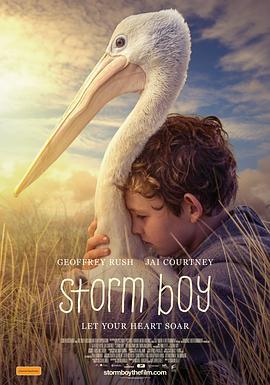 鹈鹕的故事 Storm Boy (2019)海报