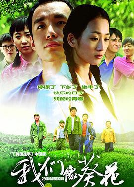 我们像葵花 (2006)海报