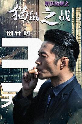 反诈风暴之猫鼠之战 (2018)海报