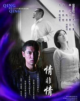 情非情 (2009)海报