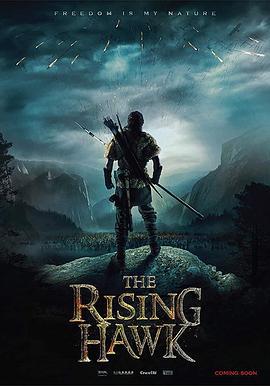 驯鹰者的崛起 The Rising Hawk (2019)海报