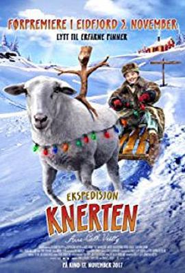 极光大冒险 Ekspedisjon Knerten (2017)海报