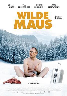 狂鼠 Wilde Maus (2017)海报