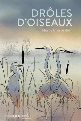 有趣的鸟 Drôles d'oiseaux (2022)海报