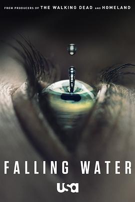 落梦若水 第一季 Falling Water Season 1 (2016)海报