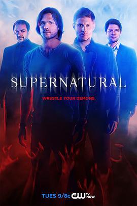 邪恶力量 第十季 Supernatural Season 10 (2014)海报