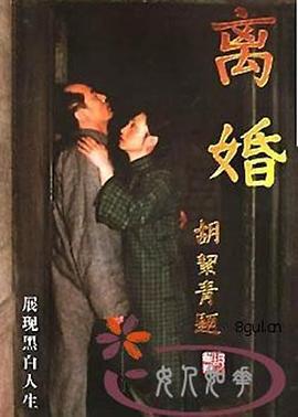 离婚 (1999)海报