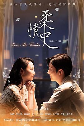 柔情史 (2025)海报