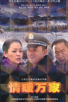 情暖万家 (2011)海报