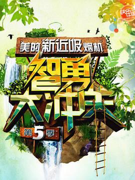智勇大冲关 第五季 (2011)海报