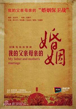 我的父亲母亲 (2013)海报