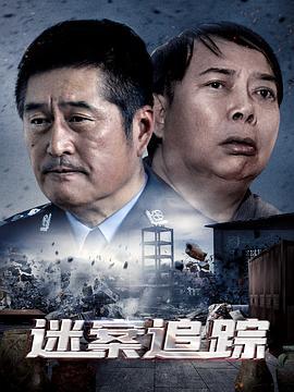 迷案追踪 (2020)海报