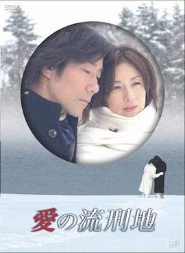 愛の流刑地 (2007)海报