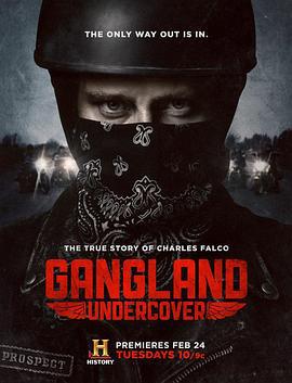黑帮卧底 第一季 Gangland Undercover Season 1 (2015)海报