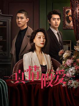 真情假爱 (2023)海报