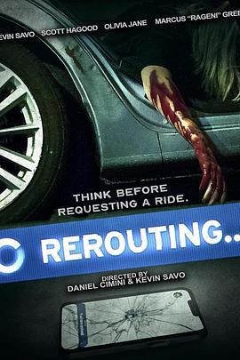 冤途路改 Rerouting (2024)海报
