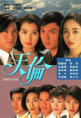 天伦 天倫 (1993)海报