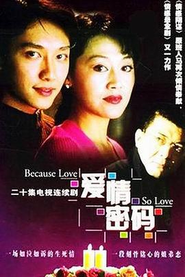 爱情密码 (2001)海报