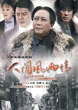 人间风雨情 (2010)海报