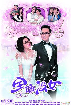 全职没女 全職沒女 (2016)海报
