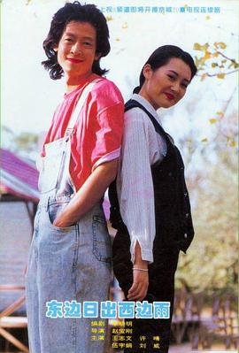 东边日出西边雨 (1995)海报