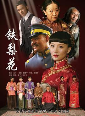铁梨花 (2010)海报