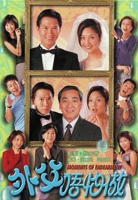 外父唔怕做 (1998)海报