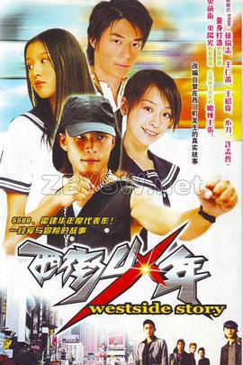 西街少年 (2003)海报