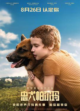 忠犬帕尔玛 Пальма (2021)海报