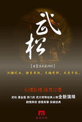 武松 (2013)海报