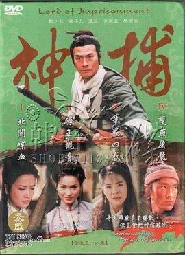 神捕 (1999)海报