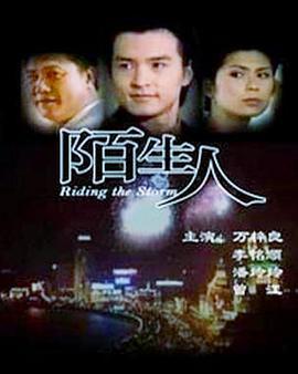 陌生人 (1999)海报