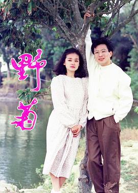 野菊 (1991)海报