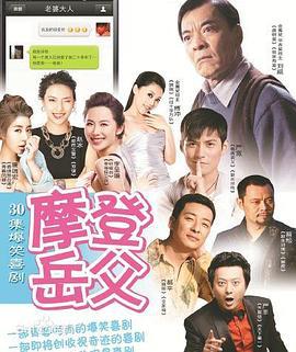 摩登岳父 (2014)海报