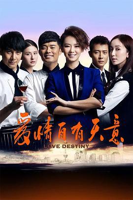 爱情自有天意 (2013)海报