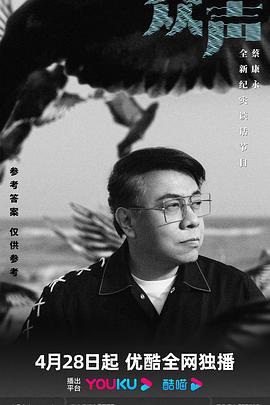 众声 (2023)海报