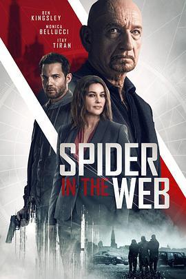 网中蜘蛛 Spider In The Web (2019)海报