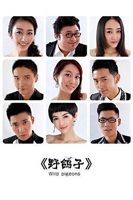 野鸽子 (2012)海报