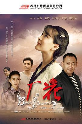 厂花 (2011)海报