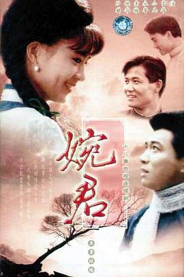 婉君 (1990)海报