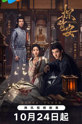 探晴安 (2024)海报