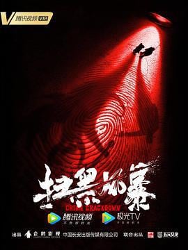 扫黑风暴 (2021)海报