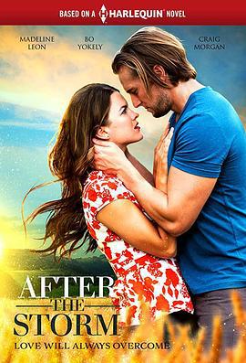雨过天晴 After the Storm (2019)海报