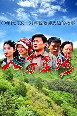 八千里路 (2013)海报